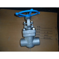 2"Forged Gate Valve F304 Sw API Cl1500